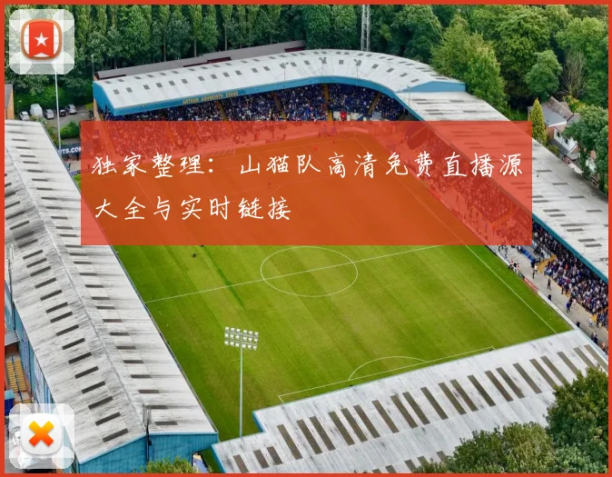 独家整理:山猫队高清免费直播源大全与实时链接