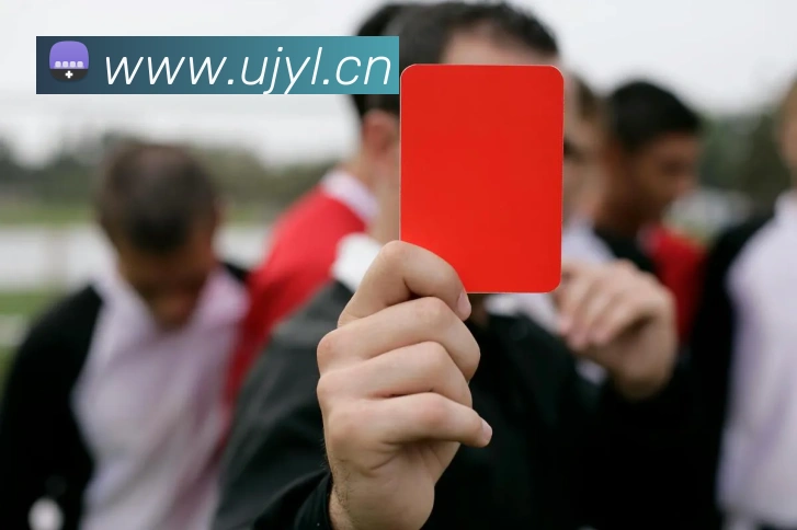 米兰app体育安全登录入口APP 高清赛事图